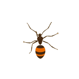 Ant illustration