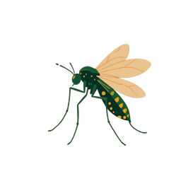 Mosquito illustration