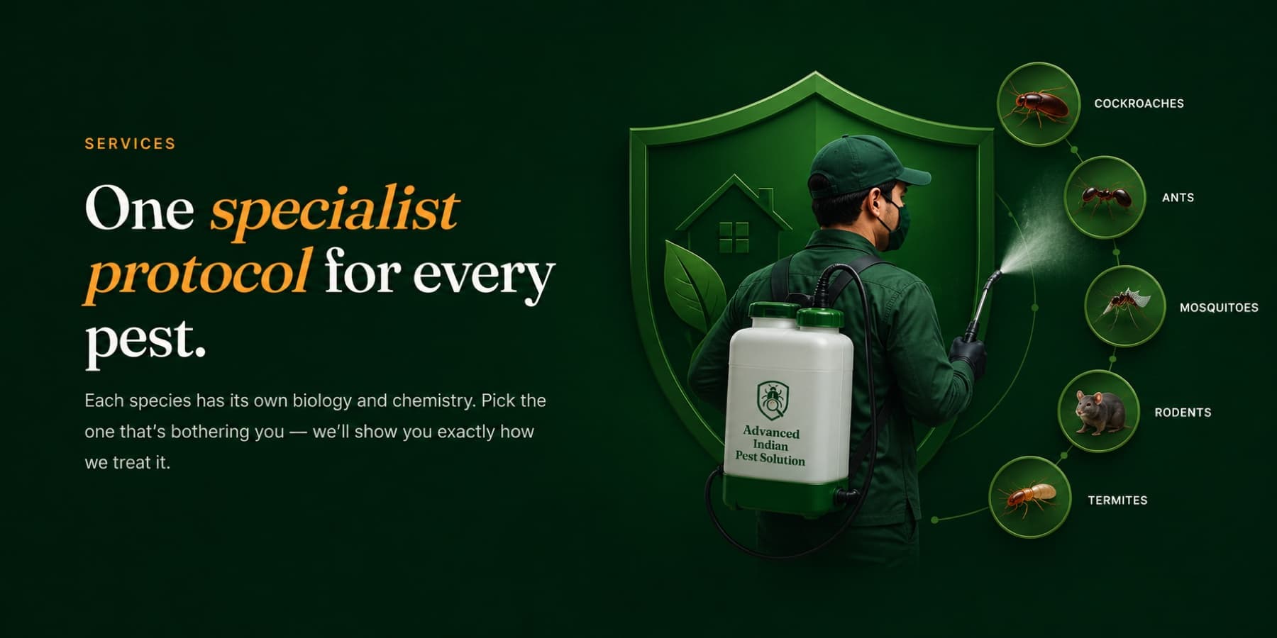 AIPS services — one specialist protocol for every pest, including cockroaches, ants, mosquitoes, rodents and termites.
